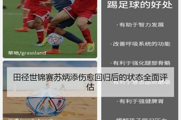田径世锦赛苏炳添伤愈回归后的状态全面评估